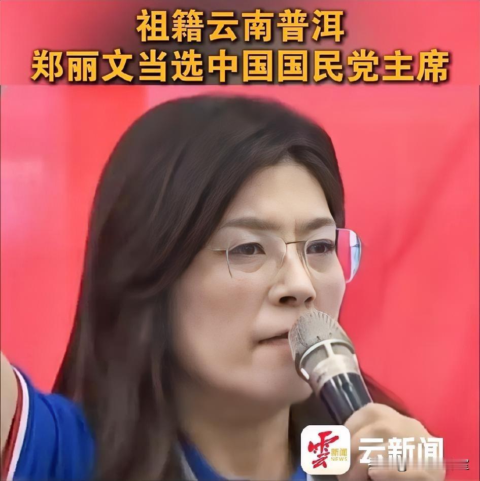 郑丽文: 中国国民党在丽文的任内，我要让全台湾每一个人，要让全台湾的同胞，都可以