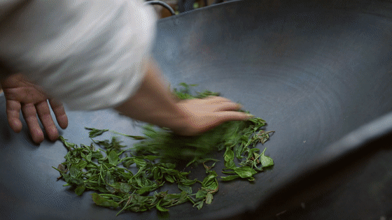 谁家剧粉追剧写万字拉片啊大生意人这才是追剧的最高境界！万字拉片深挖细节，看解读比