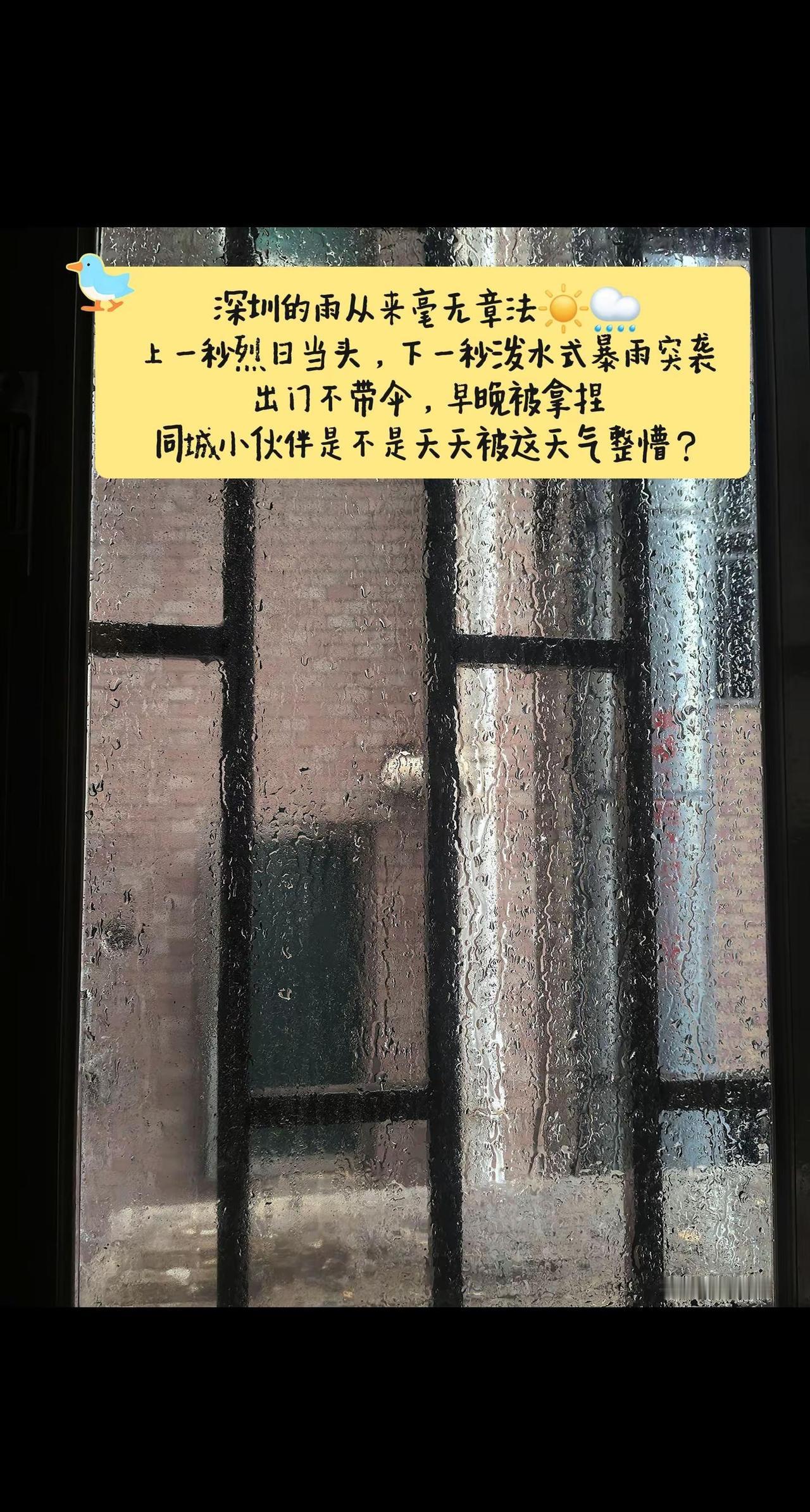 深圳的雨从来毫无章法☀️🌧上一秒烈日当头，下一秒泼水式暴雨突袭出门不带伞，早晚