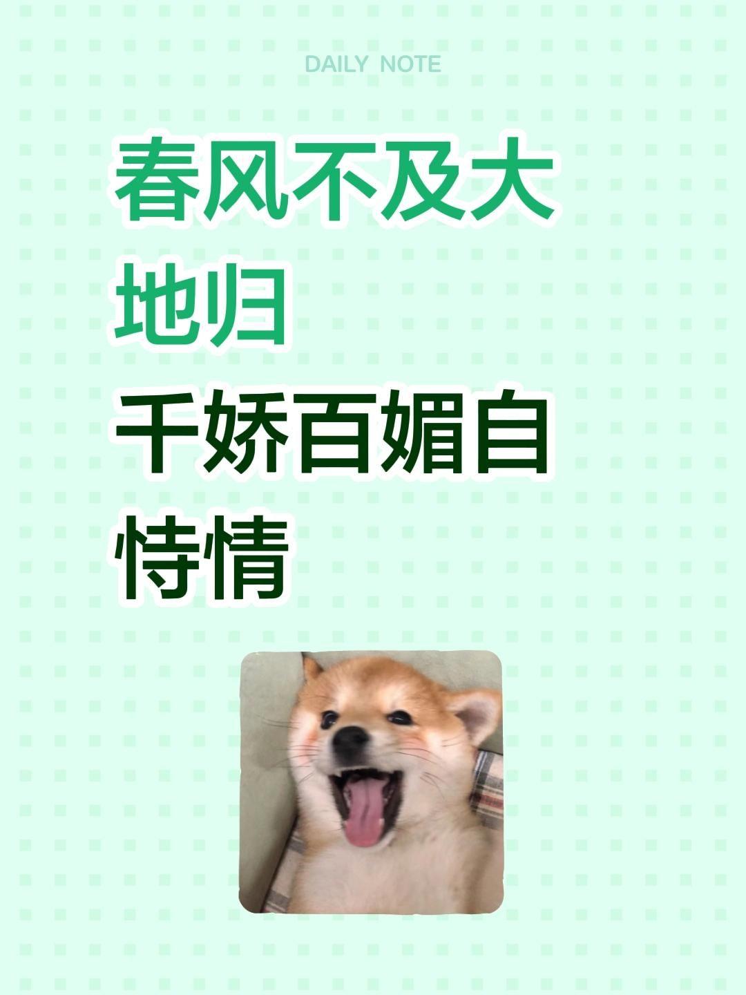 春风不及大地归
千娇百媚自恃情