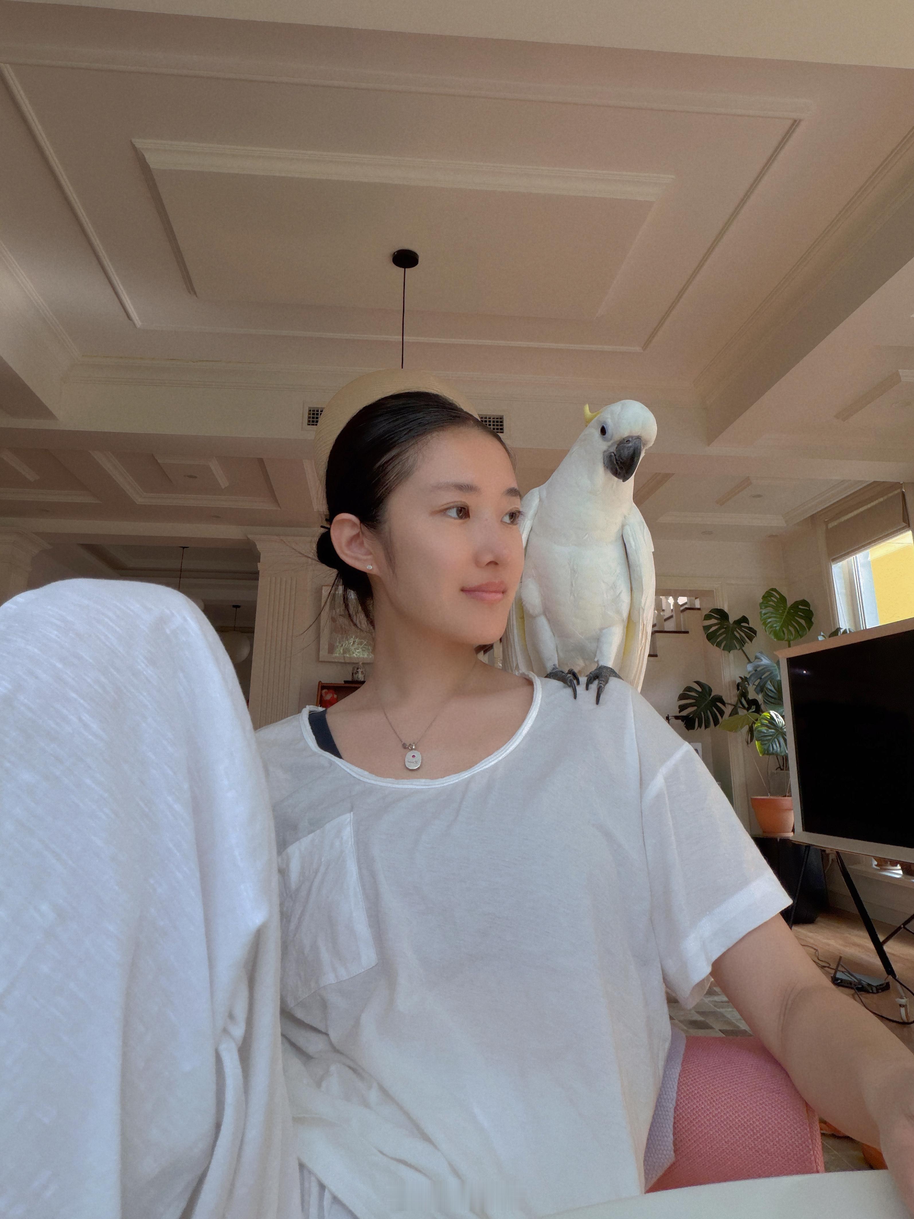 买了一堆小东西，美滋滋的换了个新发型，王未未问我：“你在染头发吗？”跟男生就说不