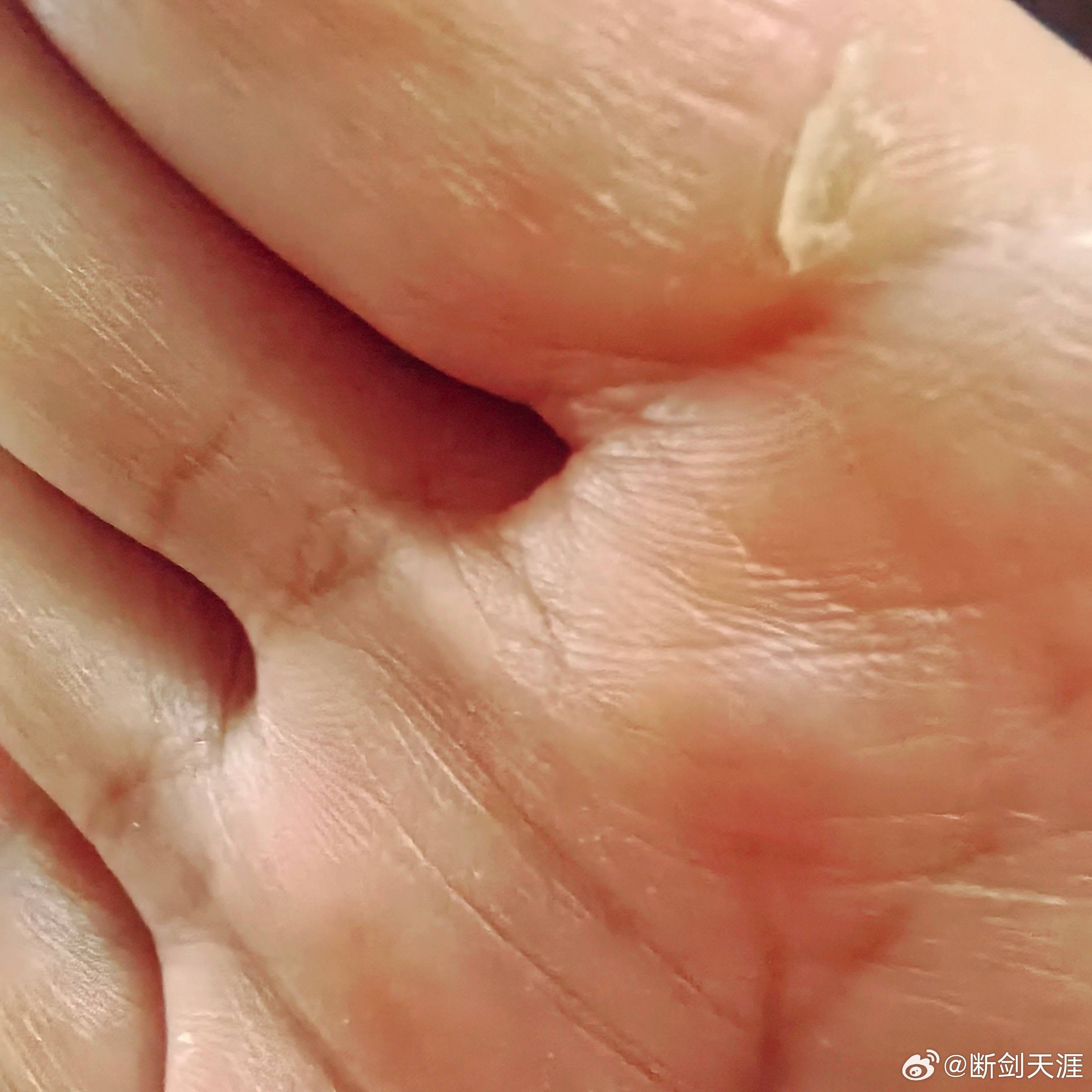 努力做一个向阳而生的人，不是要在顺境中安逸享乐，而是在逆境中依然能够保持对生活的