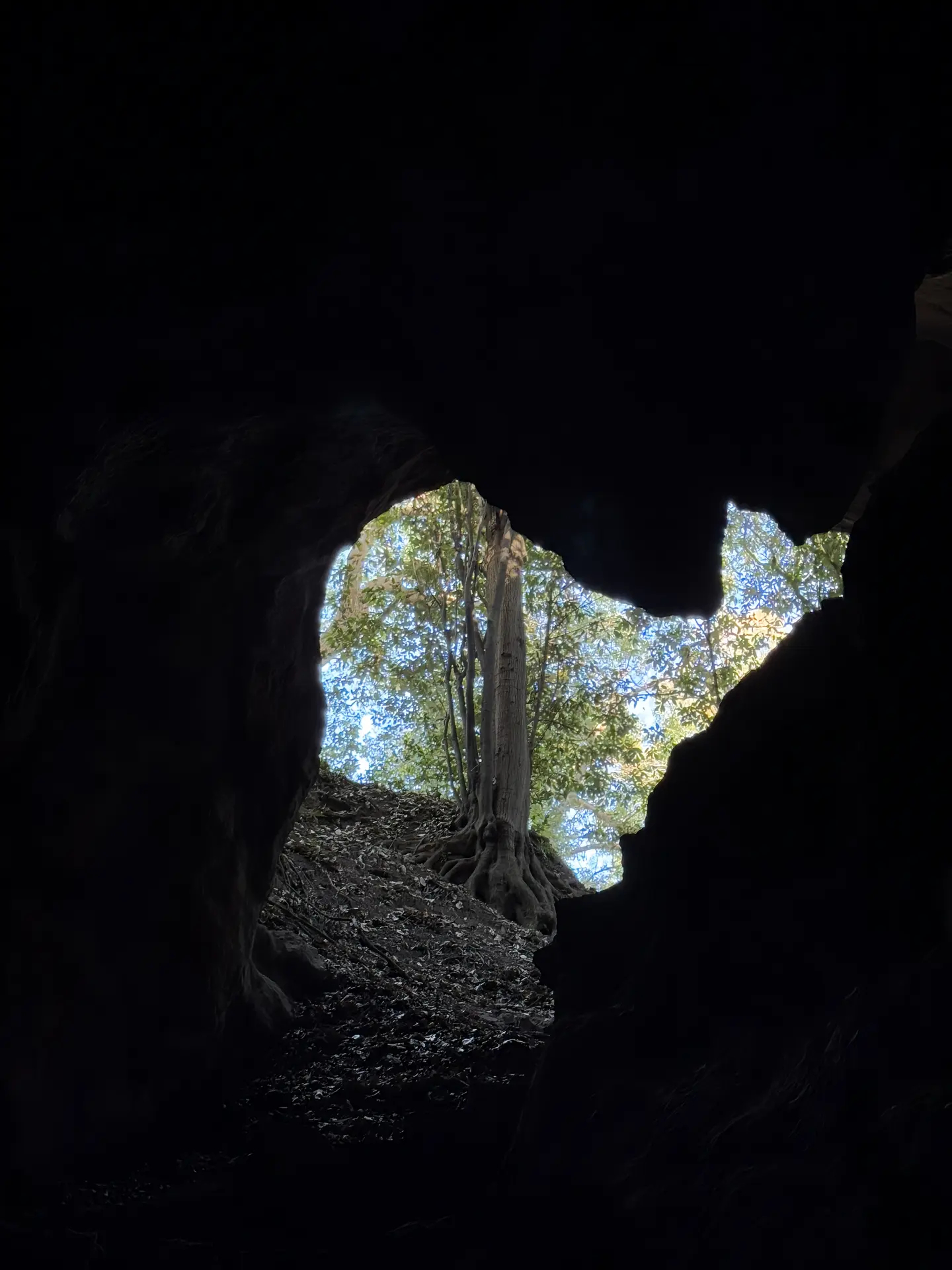 SWim进行时        『9231』20251231小顺的风景明信片🥹有