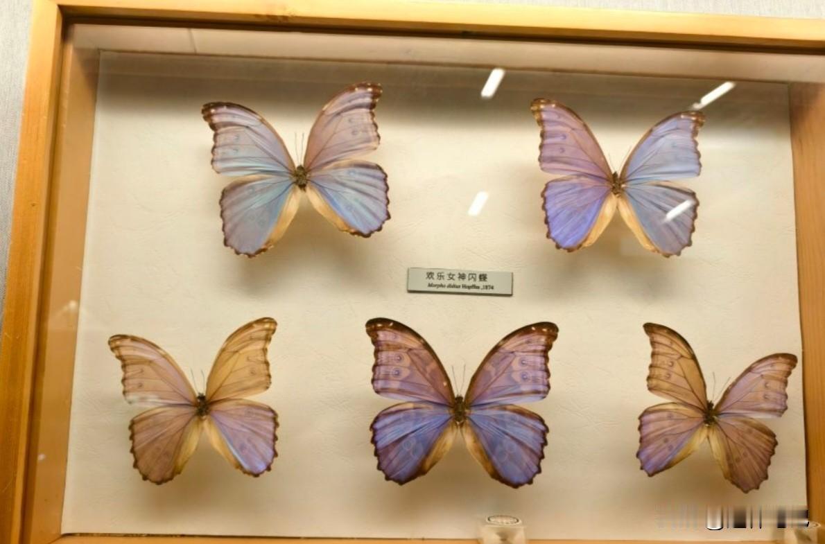 晒图笔记大赛最近天气比较寒冷了，基本上都是在零下这个状态当中，所以说在这样的一个