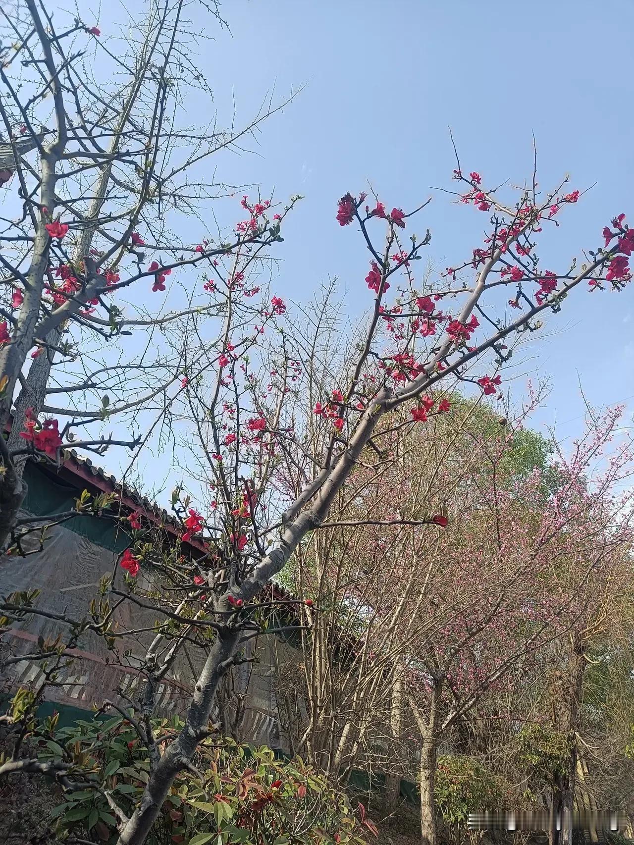 人到中年经常会有一个镜头在脑海中萦绕：

自己躺在凉床的凉席上，吹着扬子电扇，昏