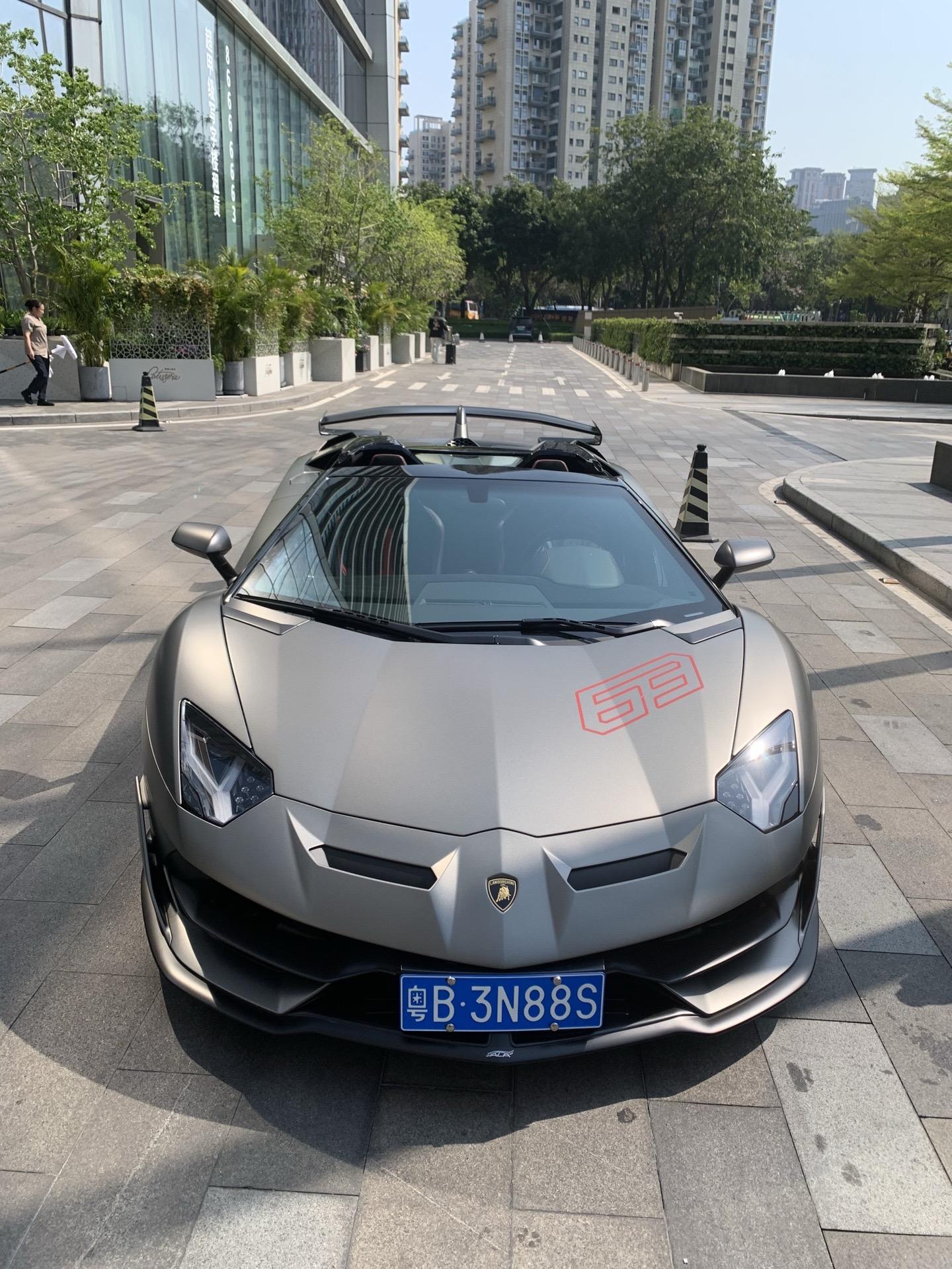 Lamborghini SVJ Roadster 🩶