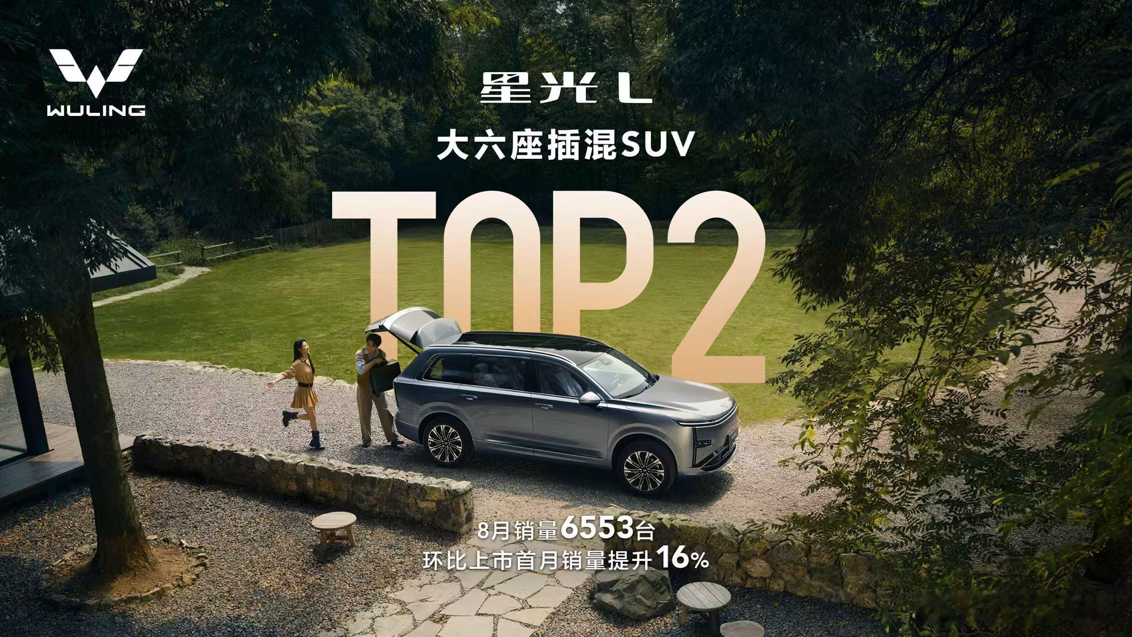 新华AUTO:星光L斩获大六座插混SUV销量TOP 2十万级大六座持续热销领跑星