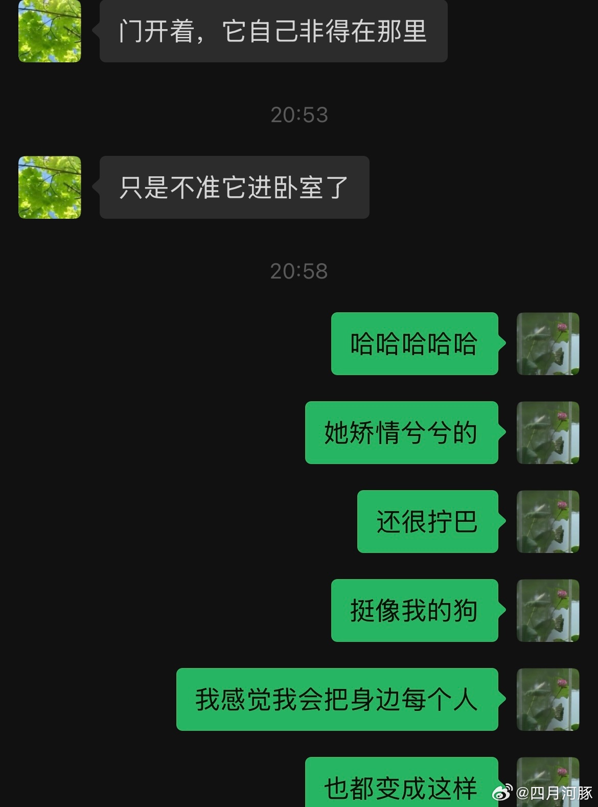 哈哈哈哈哈 我好想笑 