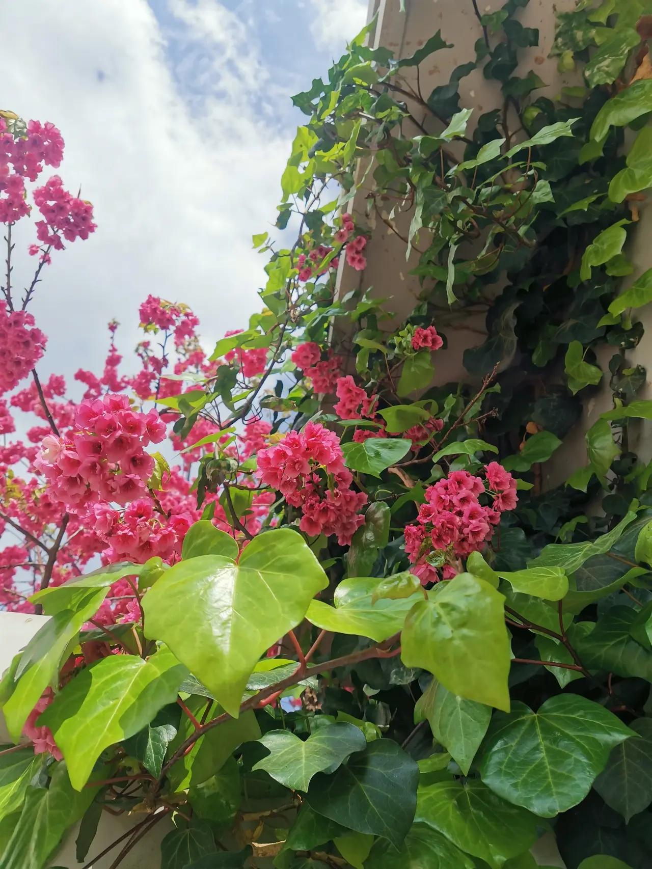 饭圈应该批，但不能过度解读有失主与次，打击饭圈文化，必须滴，对于饭圈文化公安司法