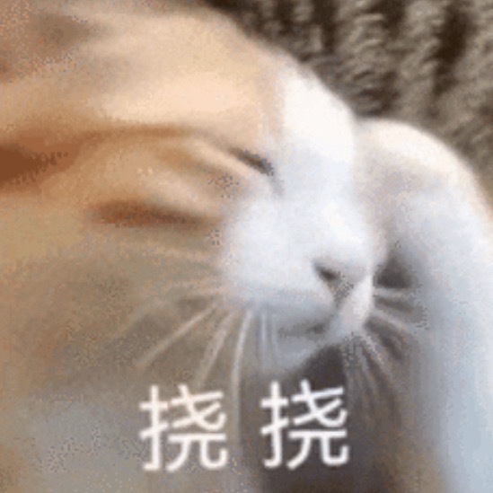 我无话可说 