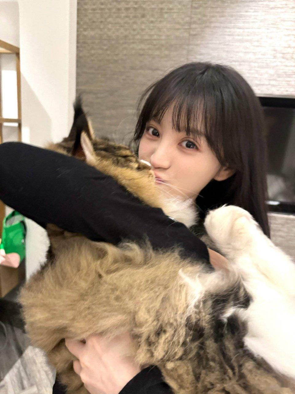 田曦薇抱猫live图田曦薇：！你愿意成为猫公的小兵么！田曦薇你愿意成为猫公的小兵