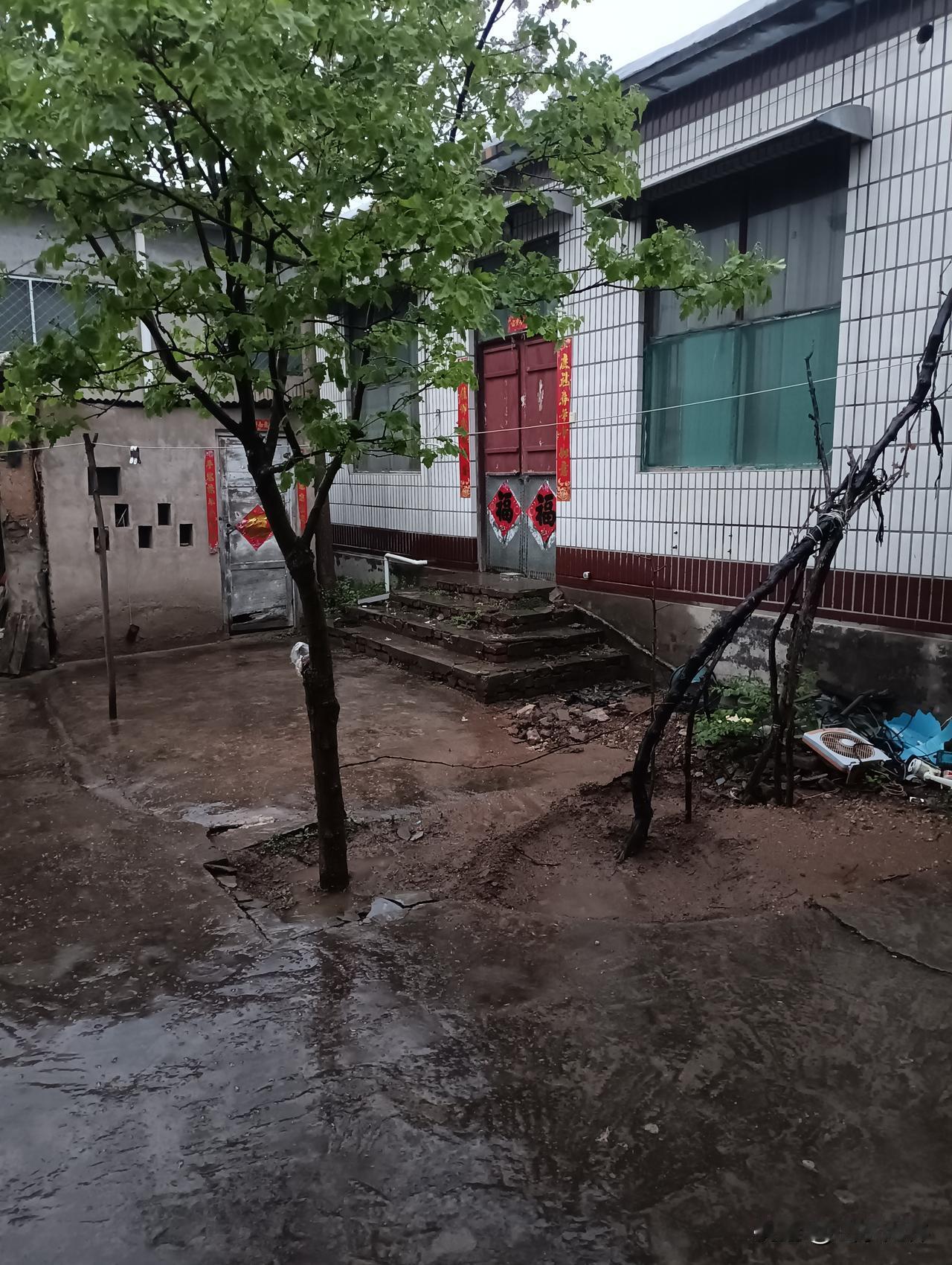 午饭过后，河南安阳就飘起了雨丝，一直淅淅沥沥到晚上九点多，没有停雨的迹象。老话讲