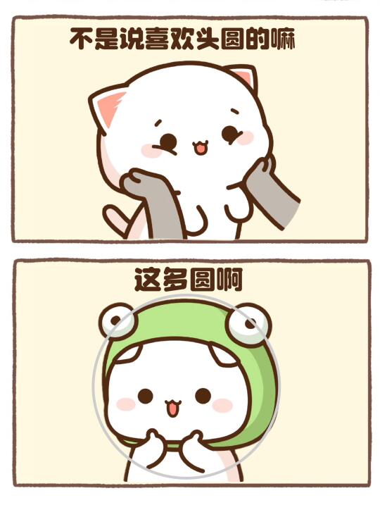 蜜桃猫：不是说喜欢头圆的嘛？这多圆啊～