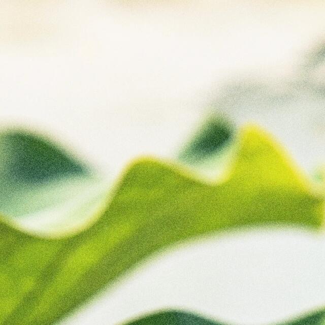 阳光信用  💫阳光信用  💫每日一善善良，一个很普遍的词，经常被人称道，因为