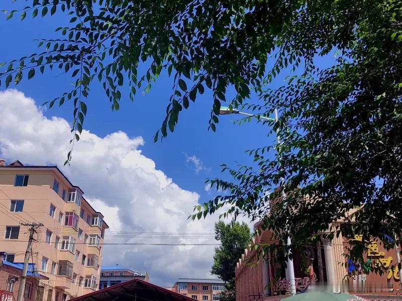 今天好像雨停了，东北的夏天越来越适合居住了，估计全球渐暖以后大家都该往东北跑了，