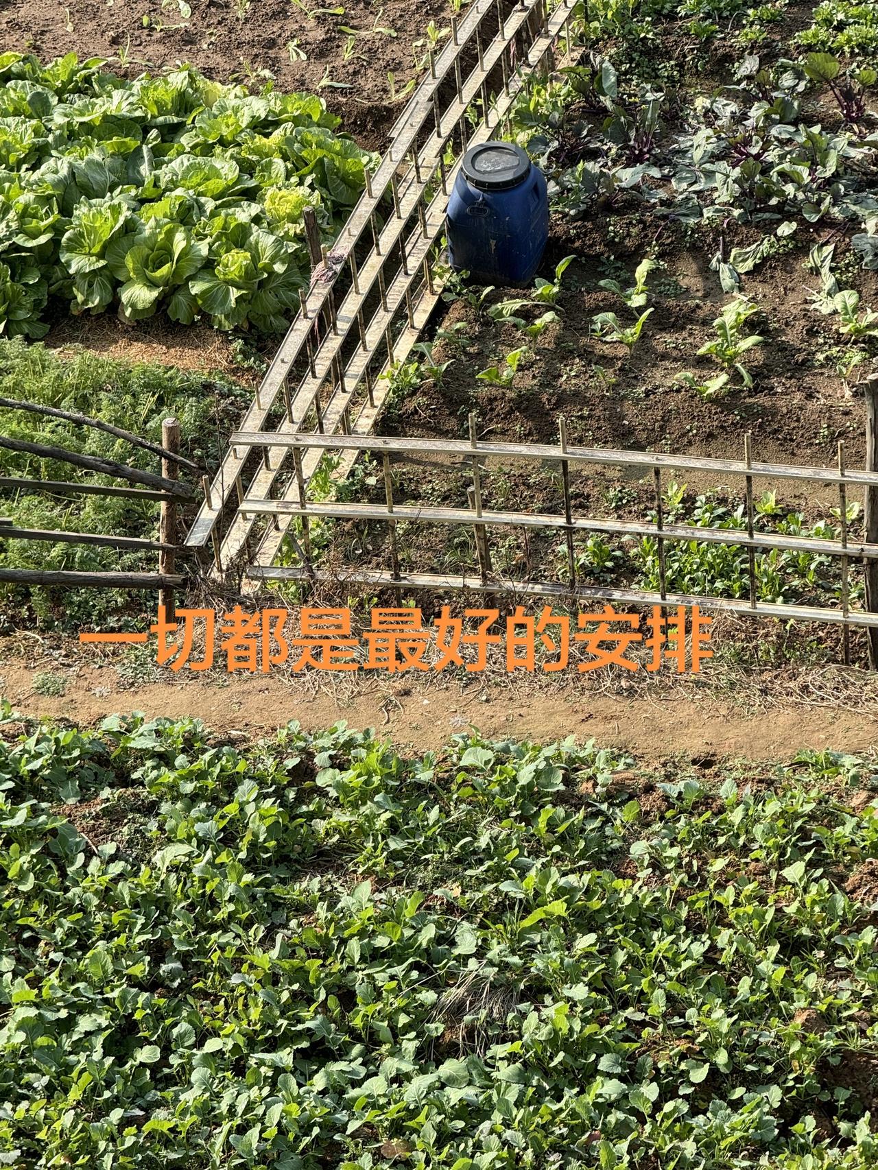 好的人给你带来快乐，坏的人给你经历，一切都是最好的安排！即使最差劲的人也会给你带