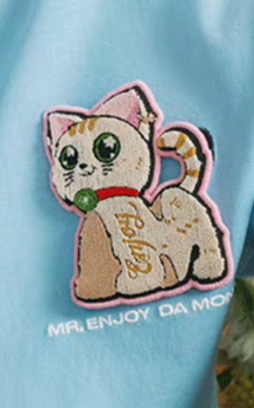 宝宝你是一只【脖子上挂着小猕猴桃的】小虎斑 