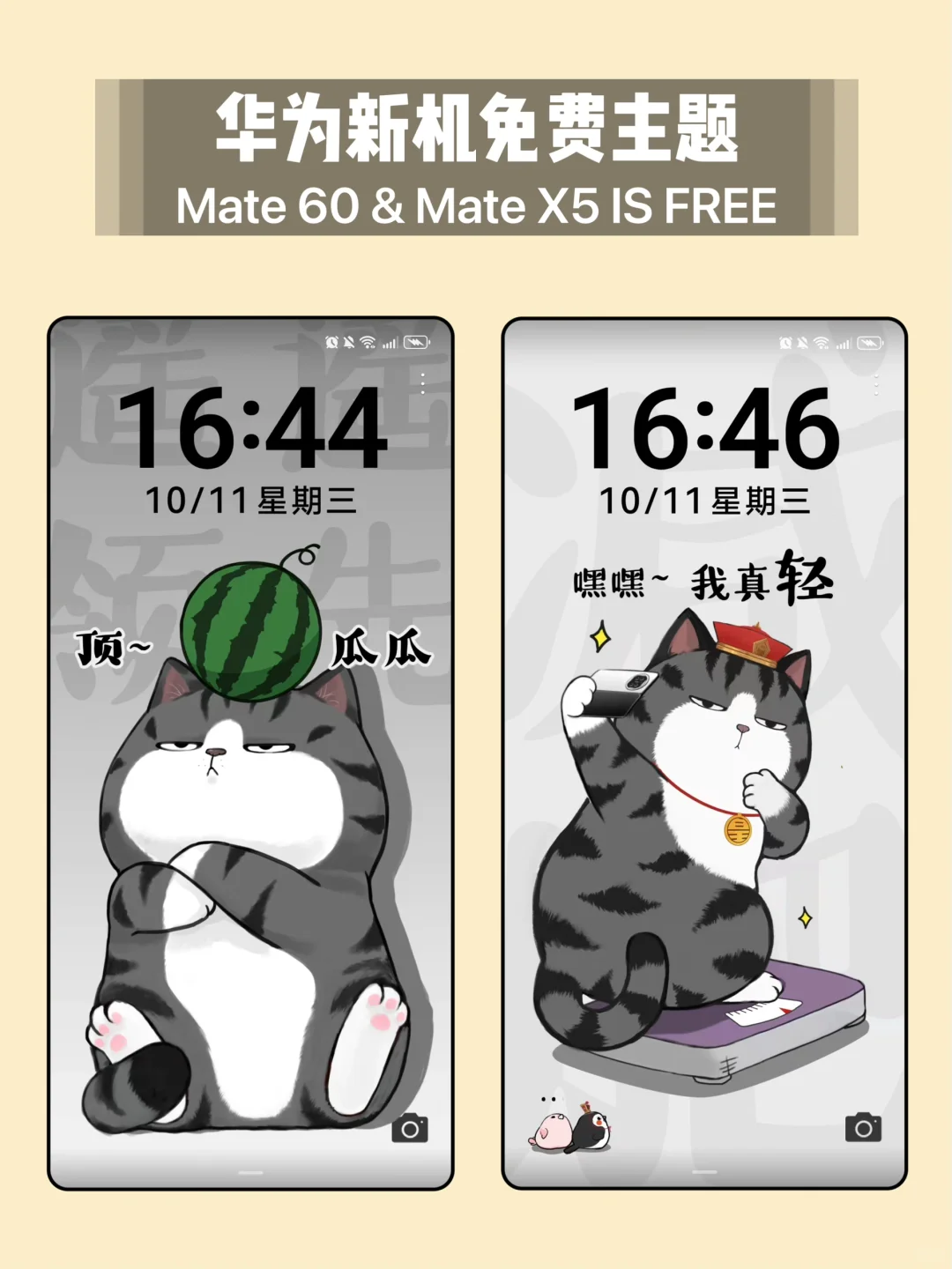 拿到遥遥领先的宝子，快来试试吾皇猫主题～