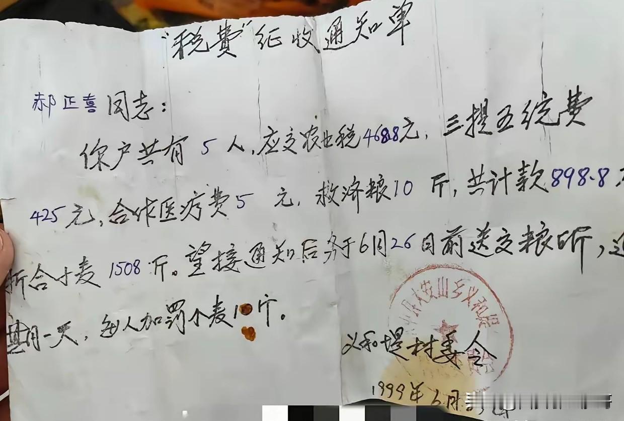 网上看到的，这是哪里？当年真缴费这么多吗？