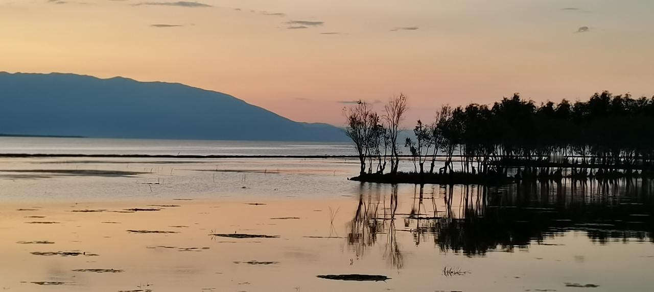 25125期，双色球，预测

红球杀号:
1、06 09 13 15 16 20