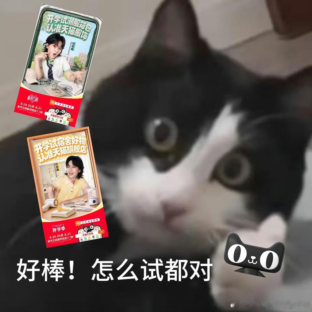 开学试新品认准天猫旗舰店马上返校，一堆刚需等着添置，大容量背包、床上用品、小电器