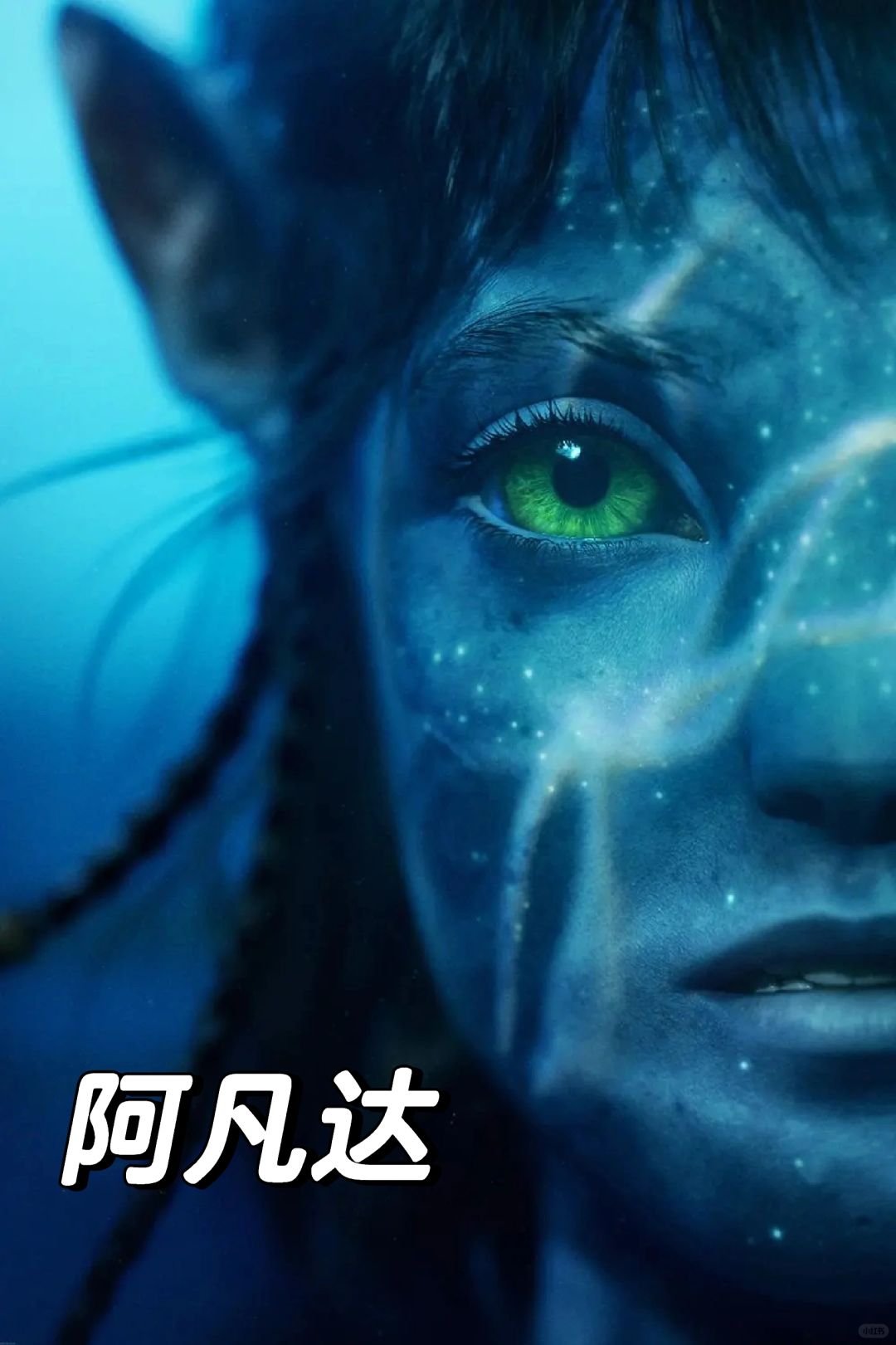 观影｜还记得那个蓝皮肤的阿凡达吗？