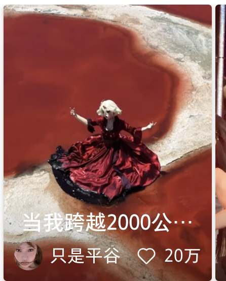 宁艺卓头像真成互联网战斗粉头像了 不过这个博主🫘说了喜欢宁宁 
