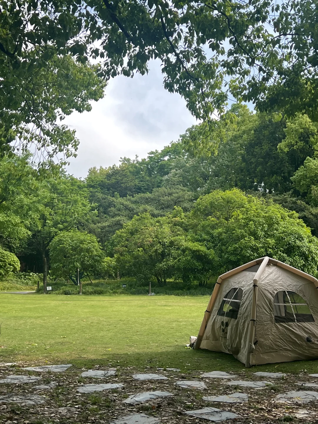 上海城市能量场｜徐汇植物园