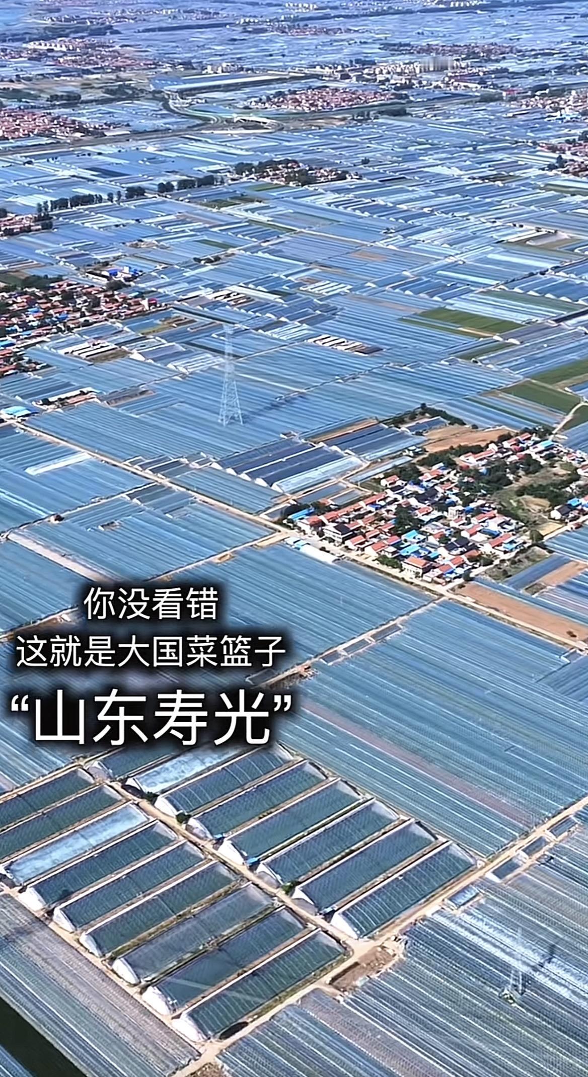 全国农业看山东
山东农业看潍坊
潍坊农业看寿光
寿光几十年来一直是我国蔬菜种植领