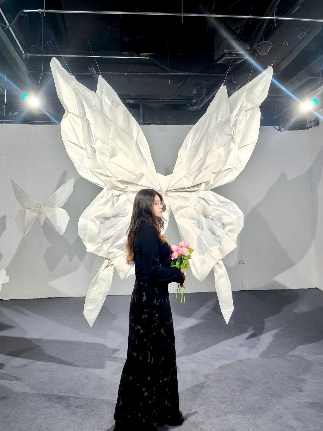 沈阳蝴蝶新展🦋拍照真的很出片！！