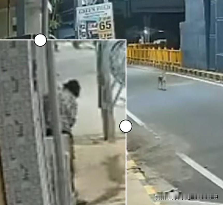 流浪狗里也有忠犬，9月3日，印度泰米尔纳德邦哥印拜陀市的警察正在调查案件。他们从