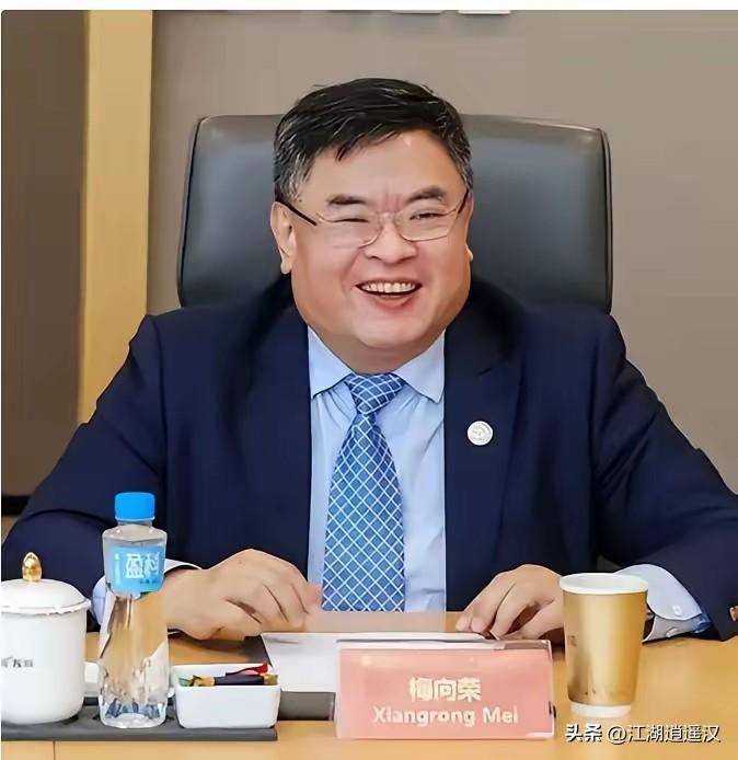 梅向荣自首、盈科紧急换帅，一场个人融资风波搅动整个法律圈。律所虽声明事件与执业无