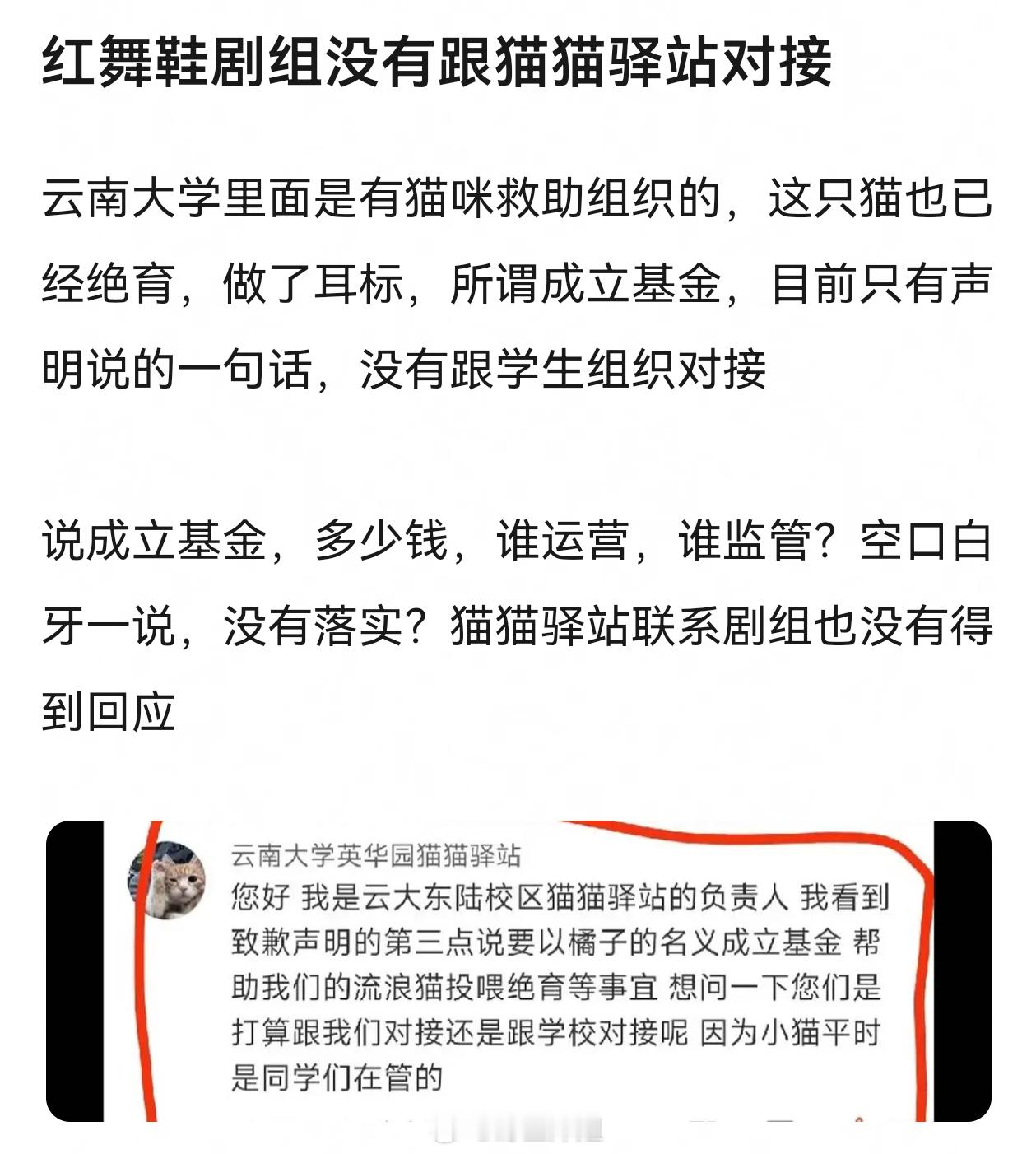有网友爆料说红舞鞋剧组没有跟猫猫驿站对接曝红舞鞋剧组开快车撞死猫 ​​​