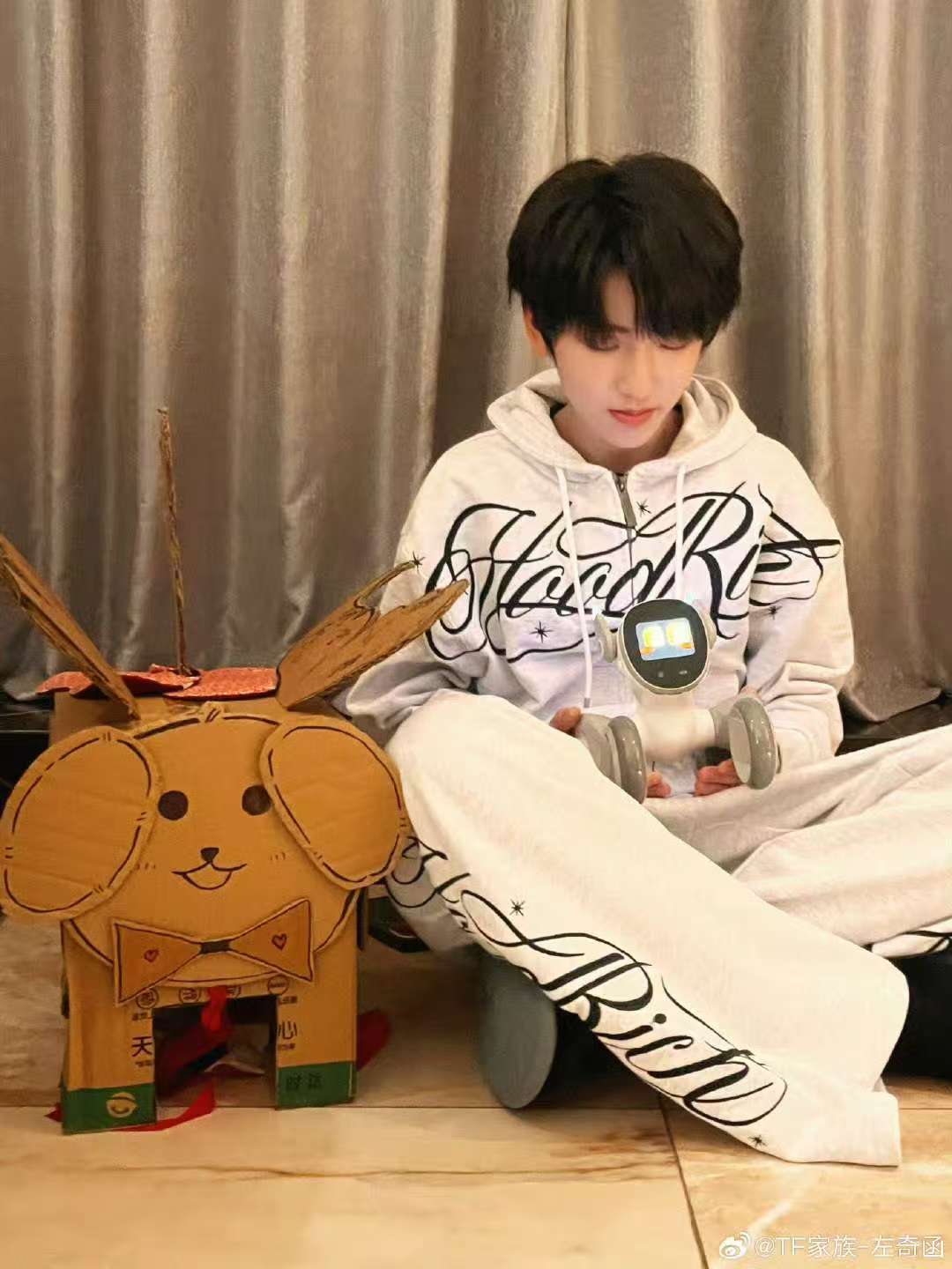 左奇函国际小狗节营业 左奇函来也！ 