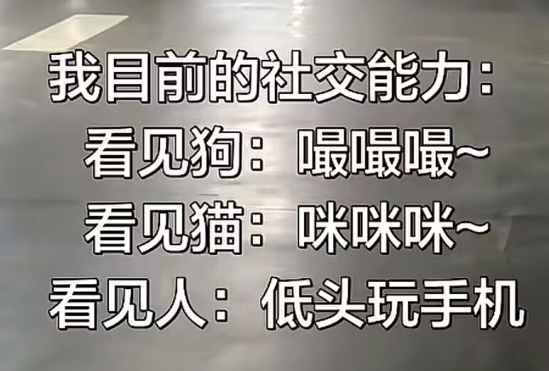 我目前的社交能力： 