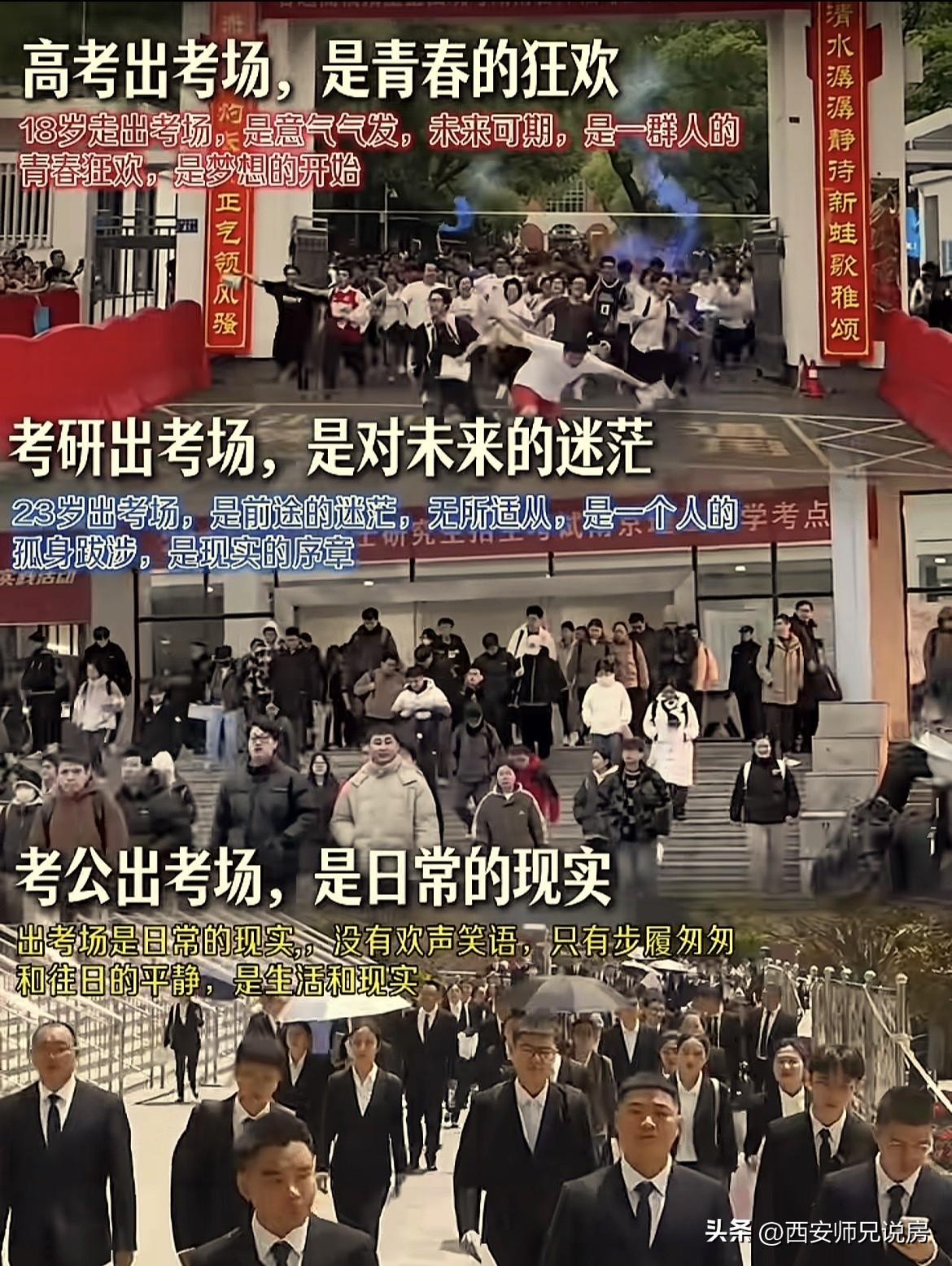 高考：你可以不用第一名
考研：你最好第一名
考公：你只能第一名