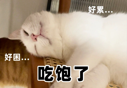 每天一条冷知识 腐竹其实是豆浆煮沸后表面凝结的一层薄膜，挑出晾干而成。腐竹看似干