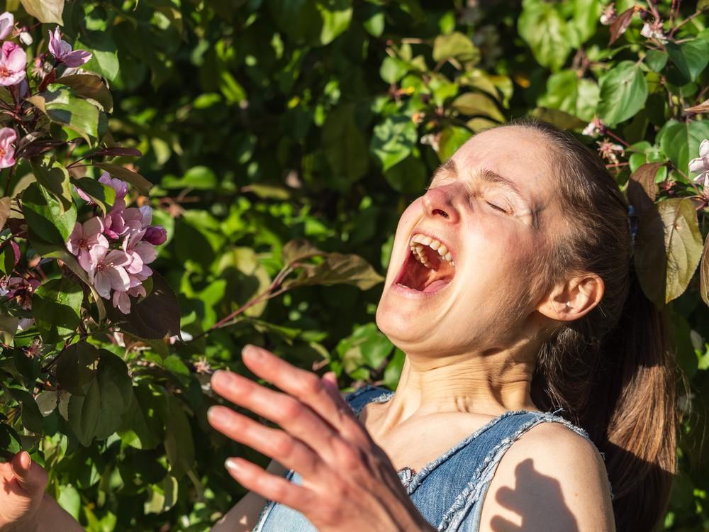 【最新研究：#花粉过敏或致考试成绩差#，数理化受影响最大】#花粉过敏可能影响考试