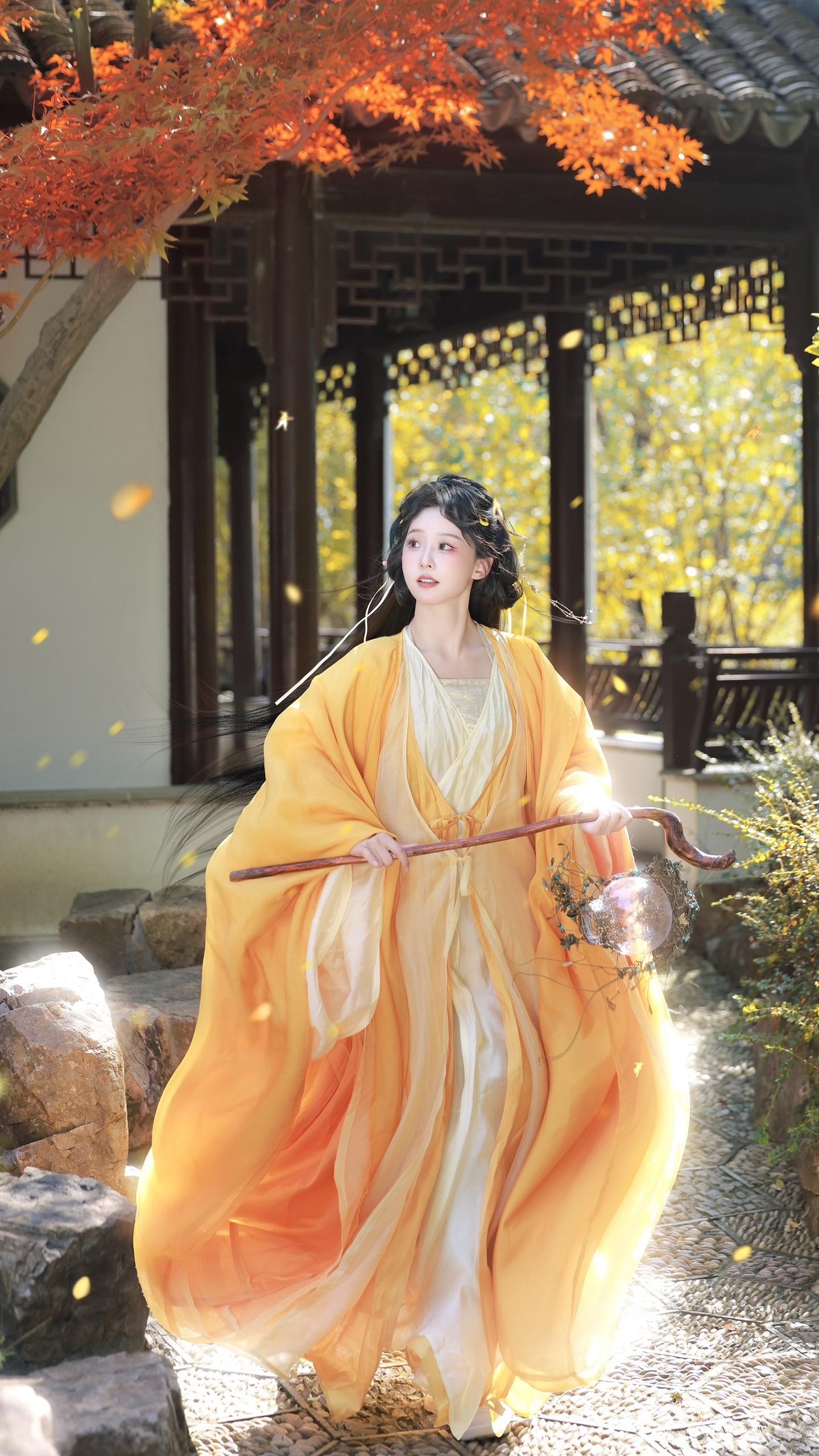 尽借篱落看秋风🍂。美美的秋天～ 🍂