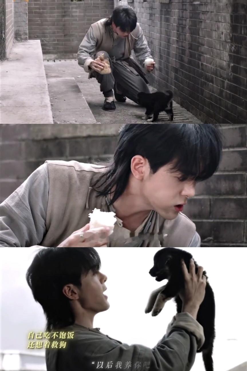 谁把你抛弃在这了？以后我养你吧！因为我也是条无家可归的小狗，救你就是在救曾经的现