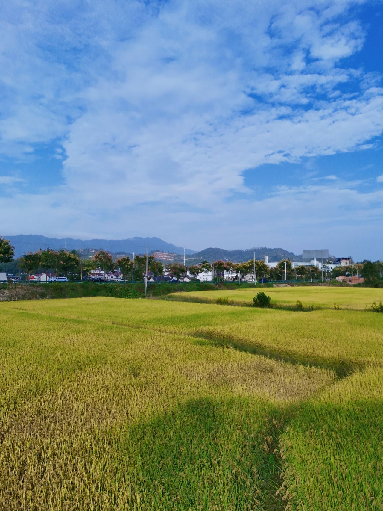 接待了一位九中的学生家长，高三的朋友介绍过来的，朋友家的孩子去年在我们这边辅导，