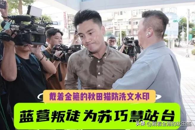 蓝营叛徒丁瑀自曝早就暗中帮苏巧慧助选，刚被蓝营开除就公然跑去给绿营站台造势！近日