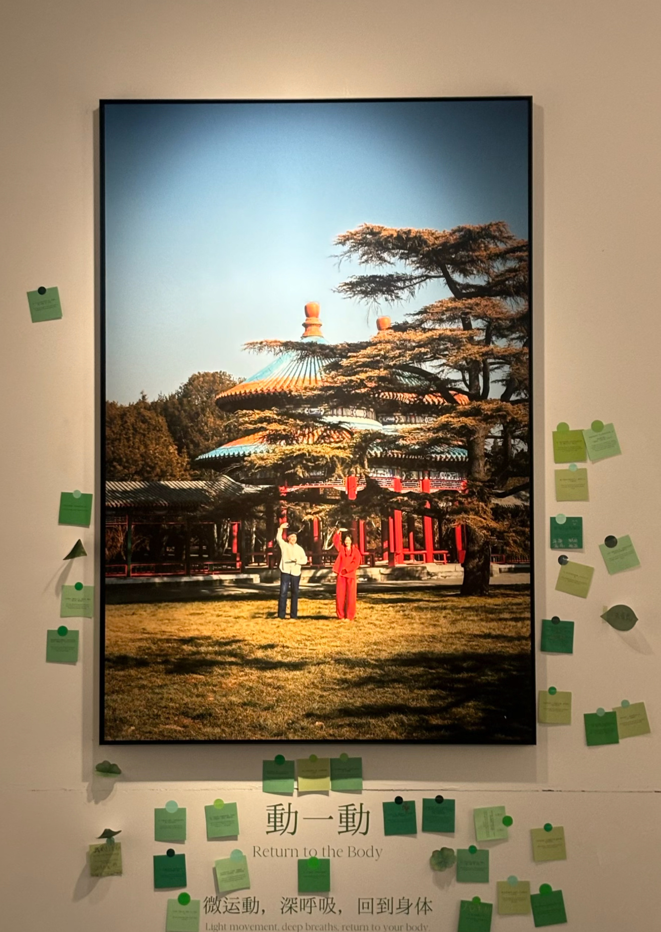 陈漫在北京地坛办了摄影展，有杨幂上城士封面，这组也很出圈 ​​​