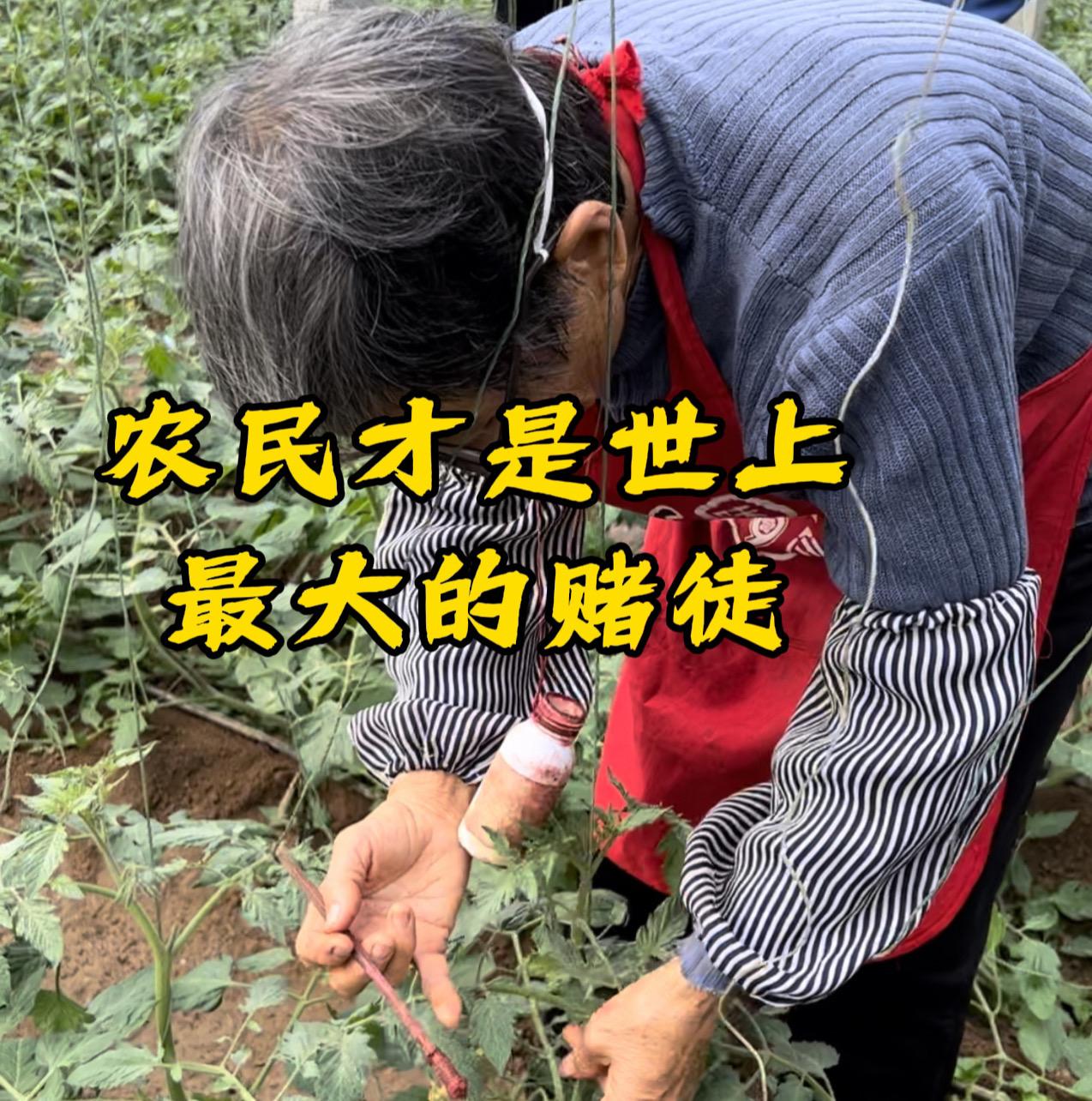 很多人都以为，世间最疯狂的赌场在澳门，霓虹闪烁、纸醉金迷，有人一夜暴富，有人满盘