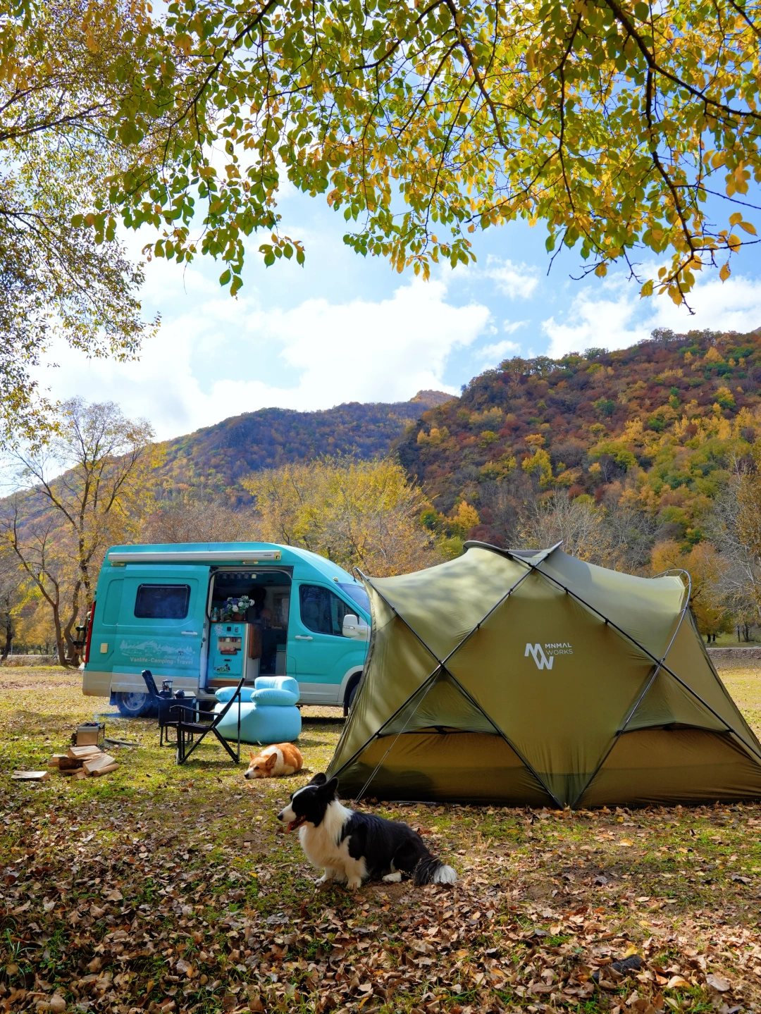还有比带着小狗去秋天里露营更快乐的吗？
