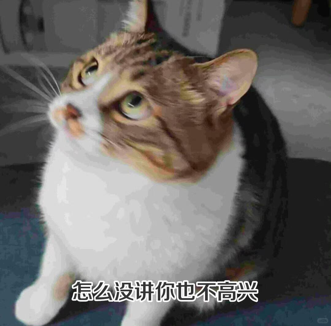 你看你又急我发的有什么不好的，你讲出来嘛~ 