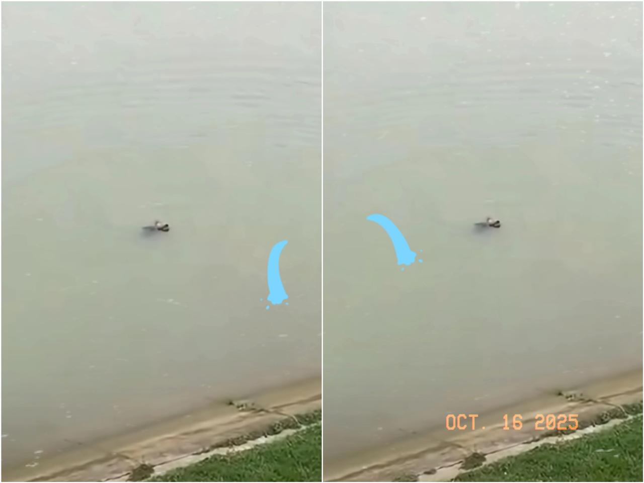 终于知道了真相，
原来不是因为琐事，
多方回应新郎跳桥的原因。
29岁新郎婚礼跳
