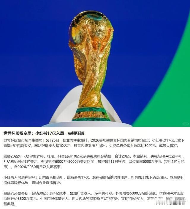 央视这笔生意做得漂亮，低价买进高价卖出。国际足联当初开口要3亿，硬是被砍到600