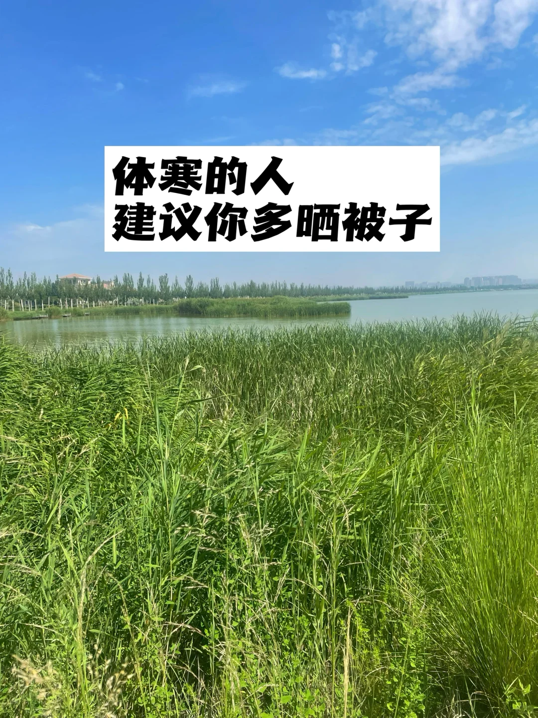 体寒的人，建议你多晒被子.