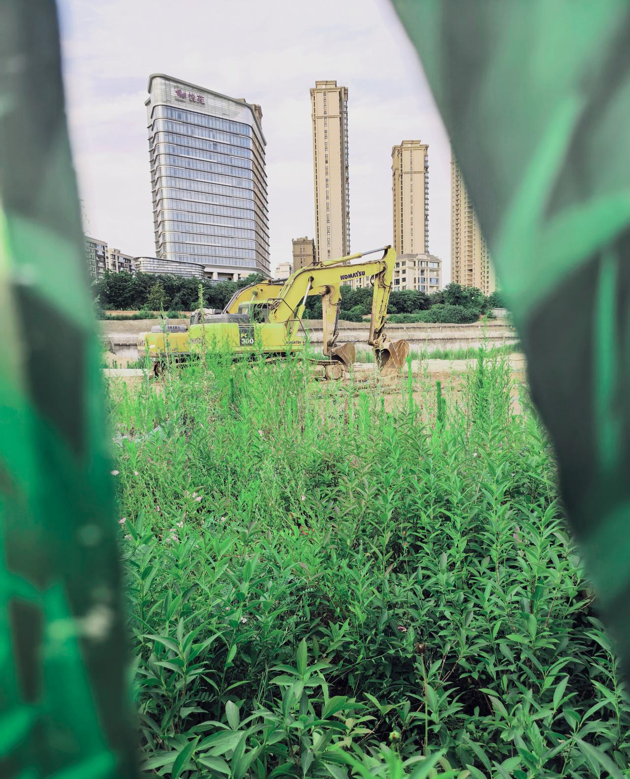 野草
挖掘机像凝固的惊叹号！
而小草从缝隙里探出头，
用根须丈量大地的心跳，
用